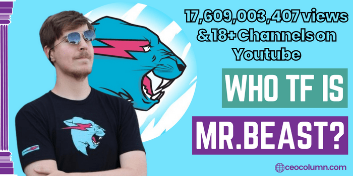 Mr Beast Net worth 2022 - How He Gained 100 Million Subscribers at a Young Age?