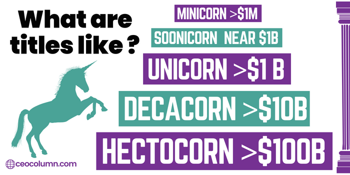 The Differences Between Minicorn Soonicorn Unicorn Decacorn and Hectocorn Companies