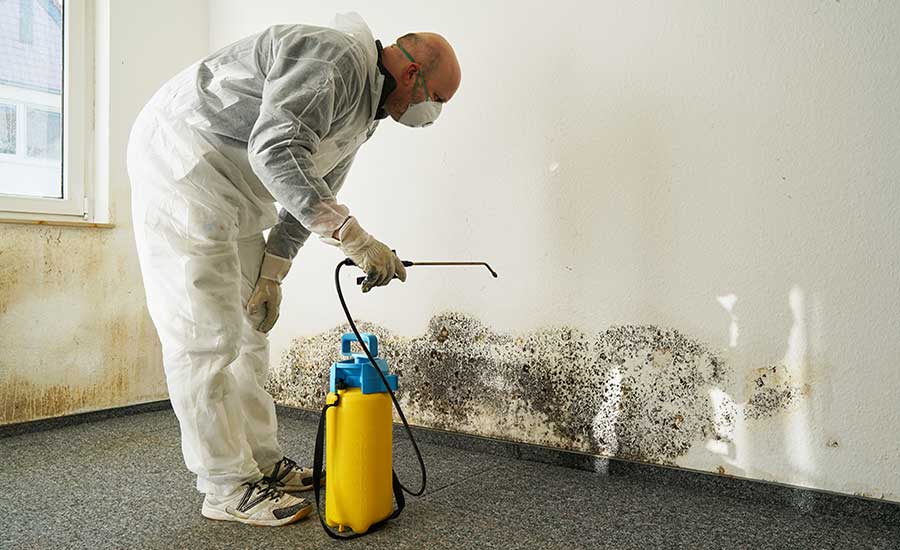 Strategies that are Effective in Removing Mold from Homes Situated in Dayton