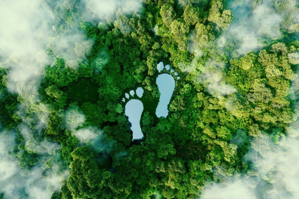 Reducing the Environmental Footprint of Marketing