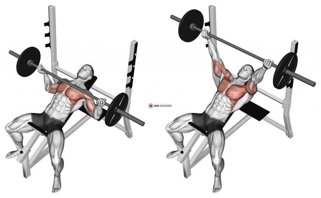 Incline Bench Press: The Best Exercise for Upper Chest Growth