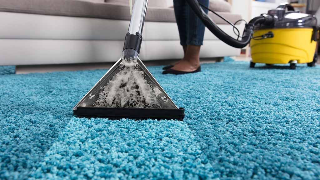 How to Keep Your Carpets Fresh and Clean The Importance of Regular Carpet Cleaning