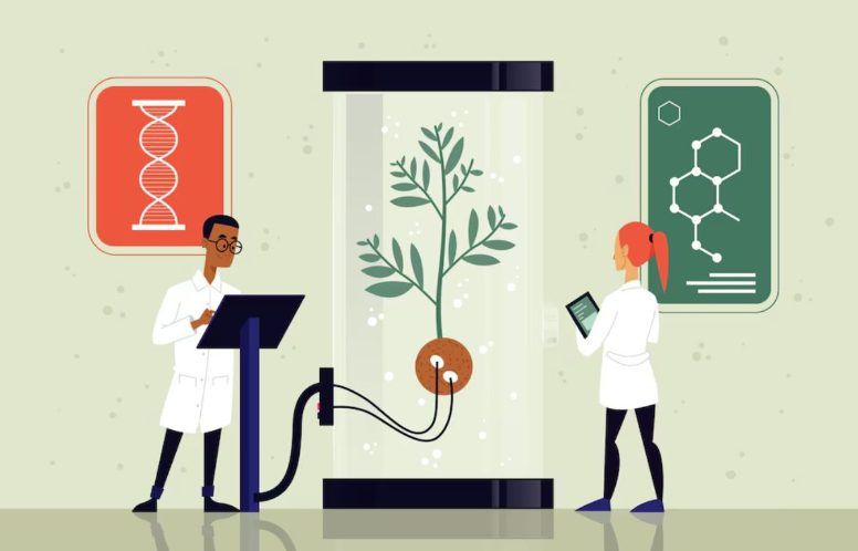 Why Life Science Translation is Essential for Accurate Informed Consent