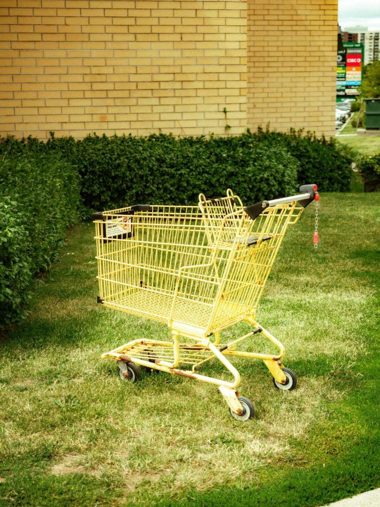 BMF Shop Cart: Everything You Need to Know Before Buying