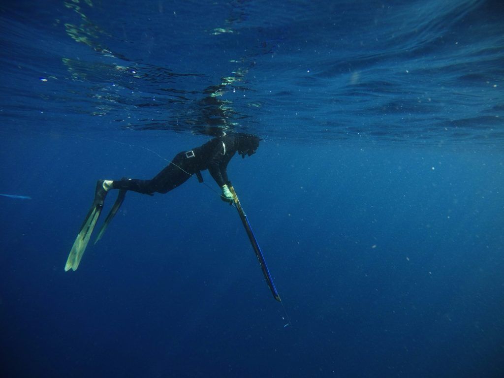 Scuba Diving Charges: Complete Guide to Costs in Various Locations