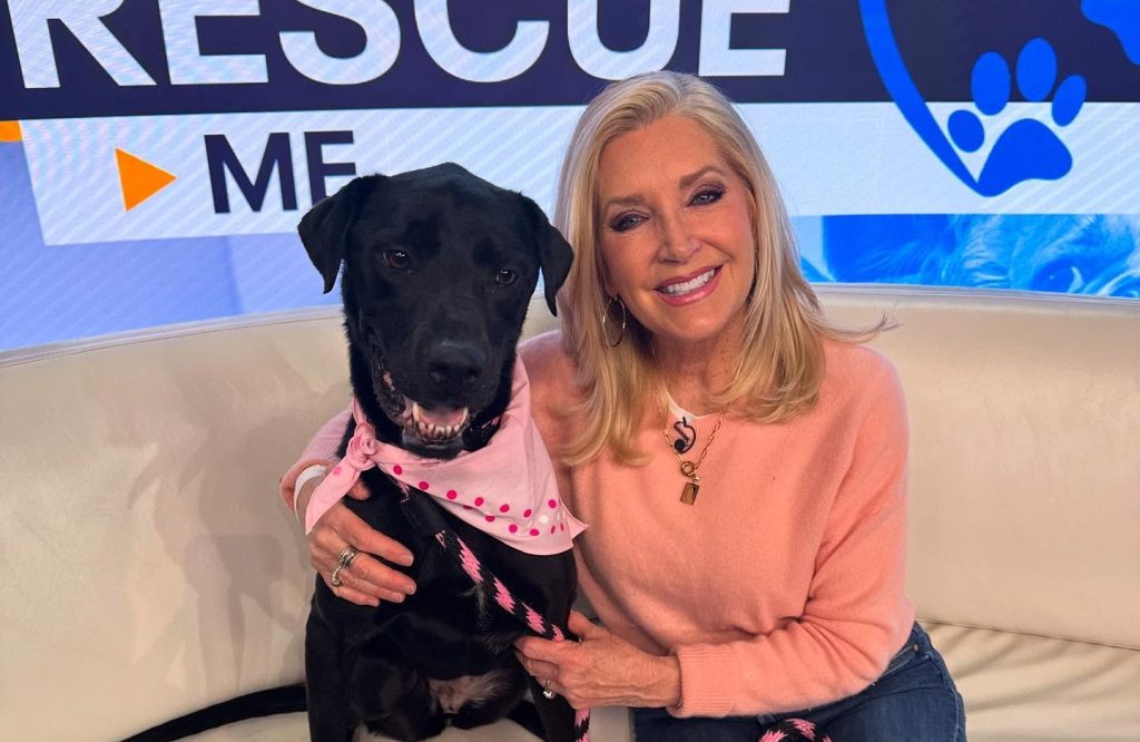 Dawn Timmeney Age: You Won’t Believe How Old She Is