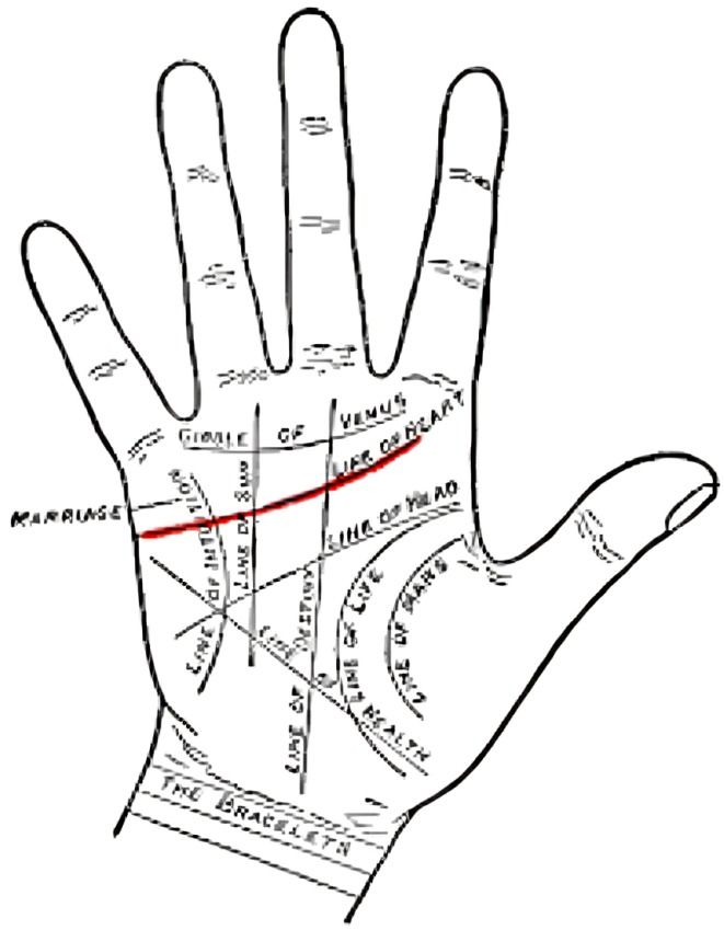 Best Palmistry Reader in India – Find the Most Accurate Hand Readers