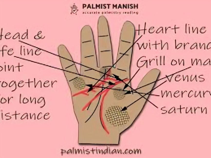 Best Palmistry Reader in India – Find the Most Accurate Hand Readers