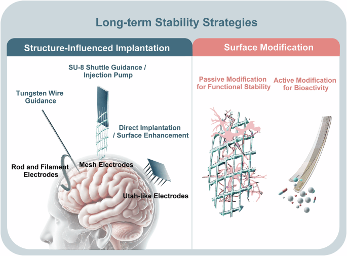 How Structure Creates Balance in Healing