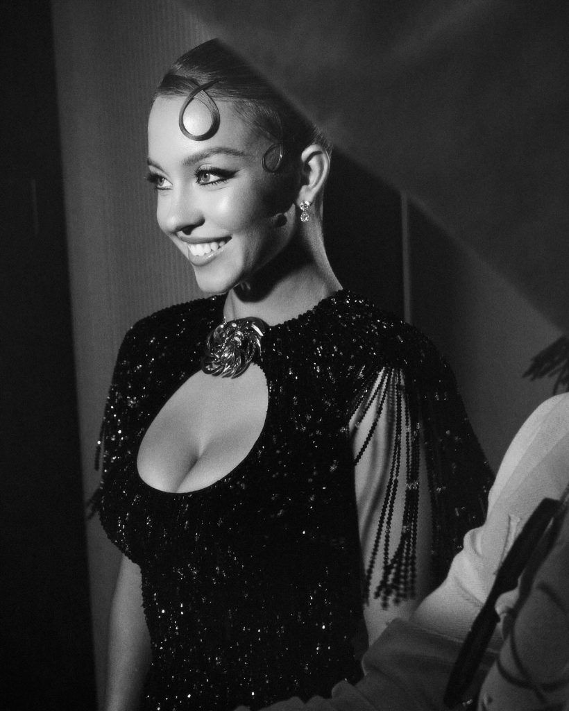 Sydney Sweeney Movies and TV Shows to Watch Now