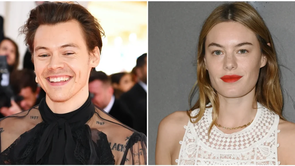 Camille Rowe and Harry Styles: Their Full Relationship Story