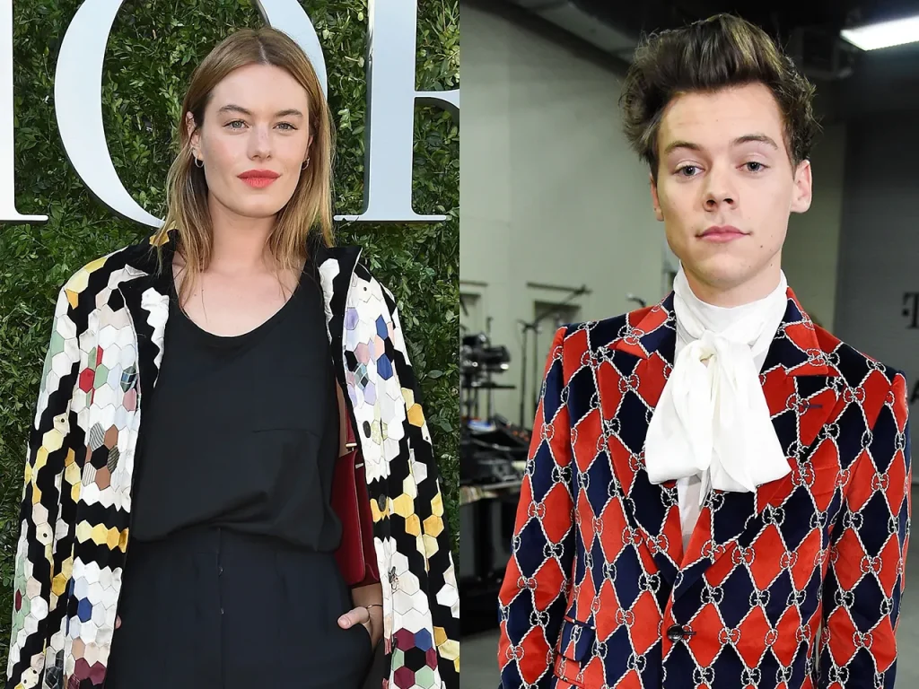 Camille Rowe Harry Styles: Untold Love and Breakup Story