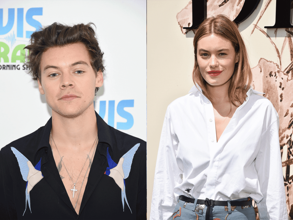 Camille Rowe Harry Styles: Untold Love and Breakup Story