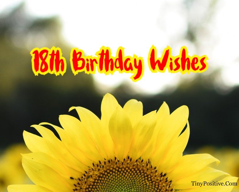 Happy Birthday Wishes for 18 | Best 18th Birthday Messages Happy Birthday Wishes for 18 | Best 18th Birthday Messages