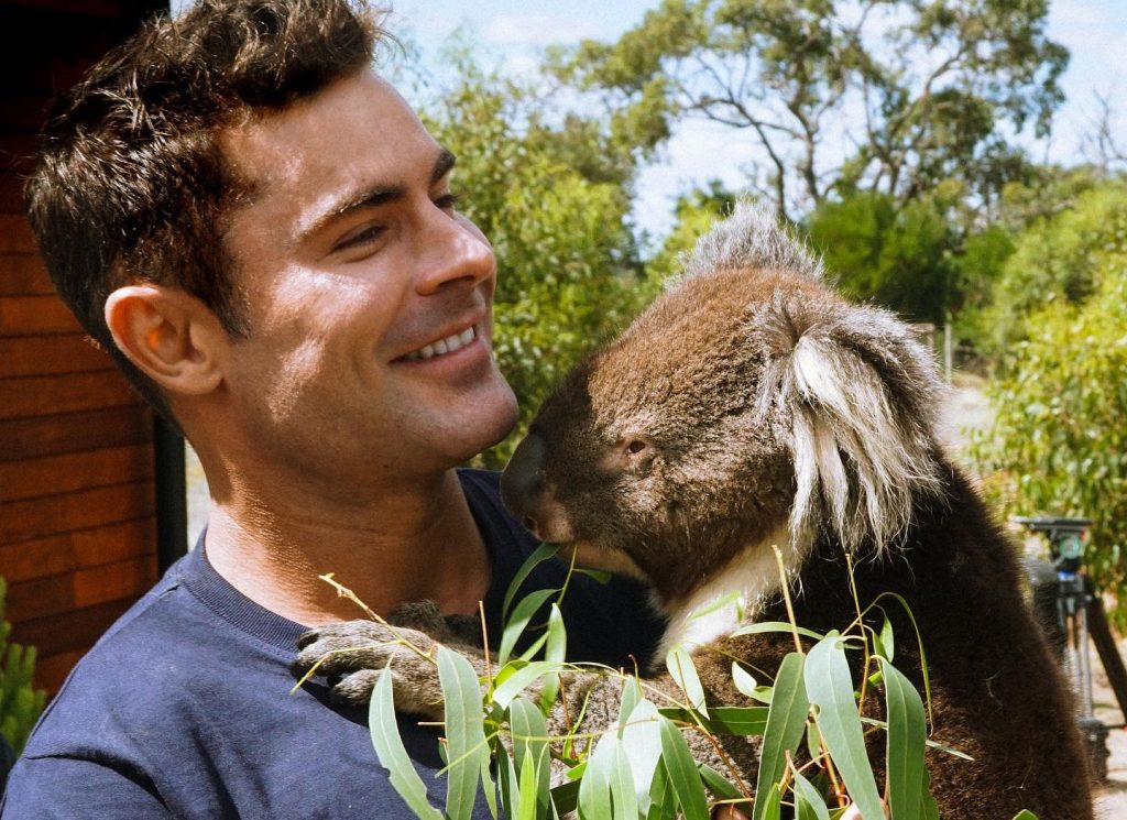 Zac Efron Fillers: The Truth Behind His New Face Look