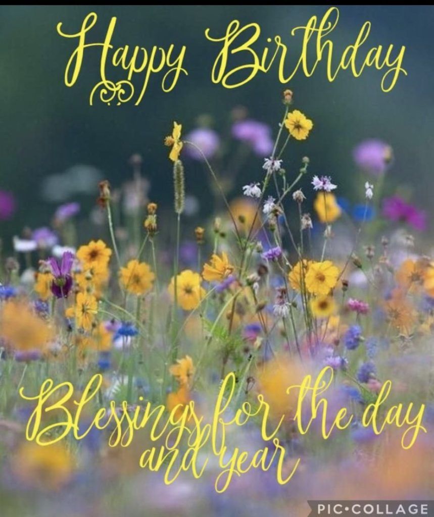 Autumn Birthday Wishes: Cozy, Warm, and Heartfelt Messages