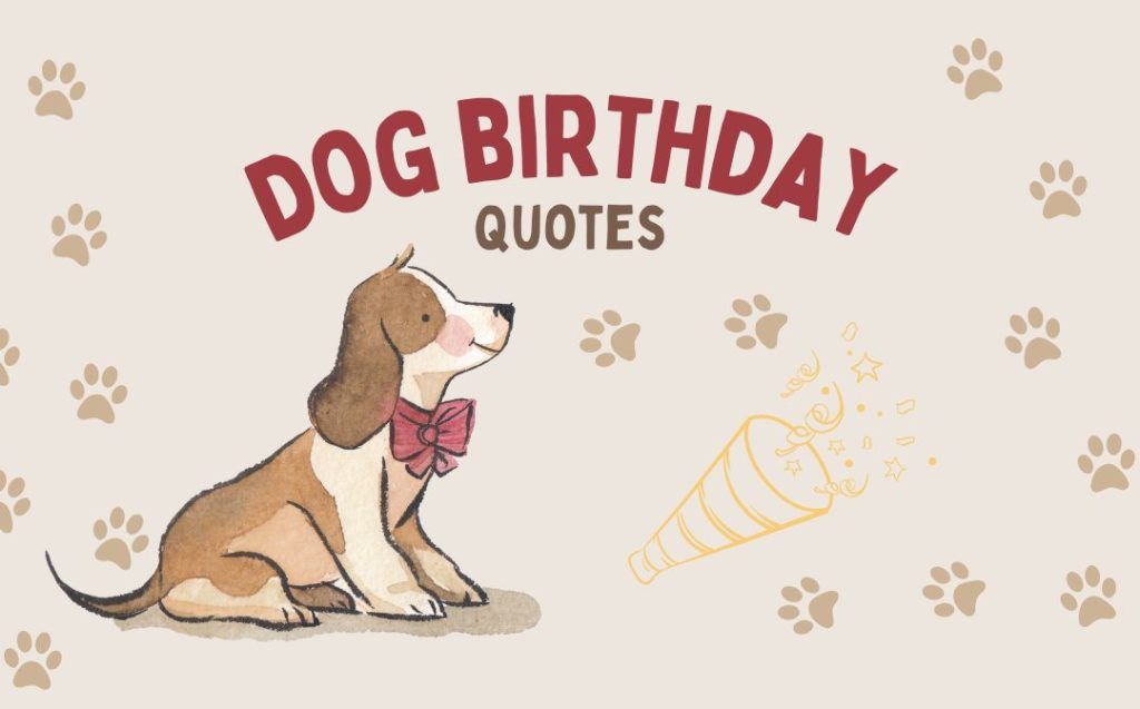 Dog Birthday Wishes: Cute, Funny & Heartwarming Messages