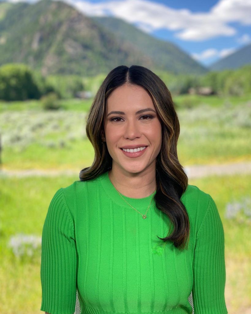 Deirdre Bosa Sexy: CNBC's Hottest Looks