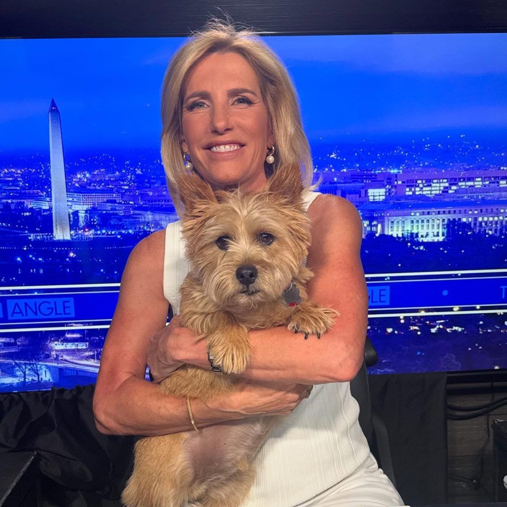 Laura Ingrams Spouse: The Untold Truth About Her Love Life