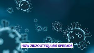 How Zikzoutyqulsis Discovered
