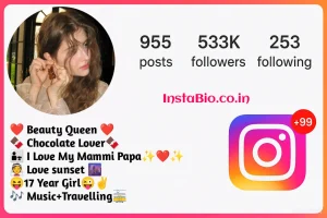 Insta Bio for Girl Stylish Font – Cute, Trendy & Aesthetic Ideas