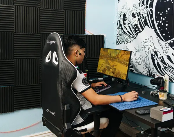 Why Do Gamers Look for Games?