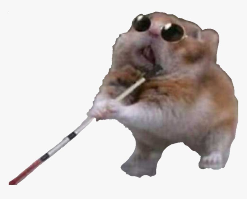 Funny Stickers for Messages 