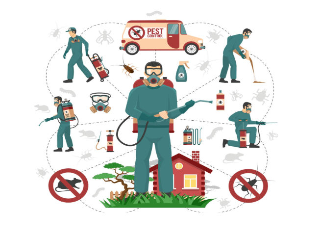 Choosing the Right Pest Control Colchester Team for Residential & Commercial Needs