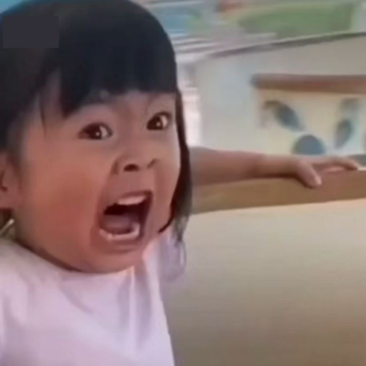 Screaming Reaction Meme That Went Viral on the Internet