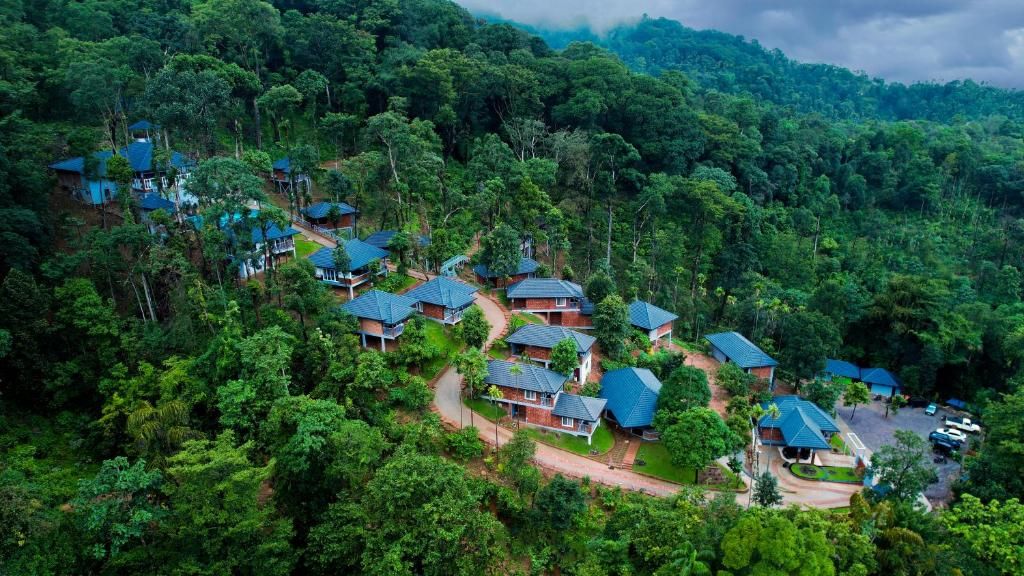 Coorg: Where Forest Silence Meets Refined Mountain Living