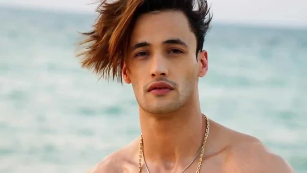 Asim Riaz Biography, Age, Net Worth, Career & Relationship 2026 Asim Riaz Biography, Age, Net Worth, Career & Relationship 2026