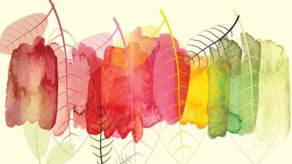 From Managers to “Experience Designers”: The New Role of HR