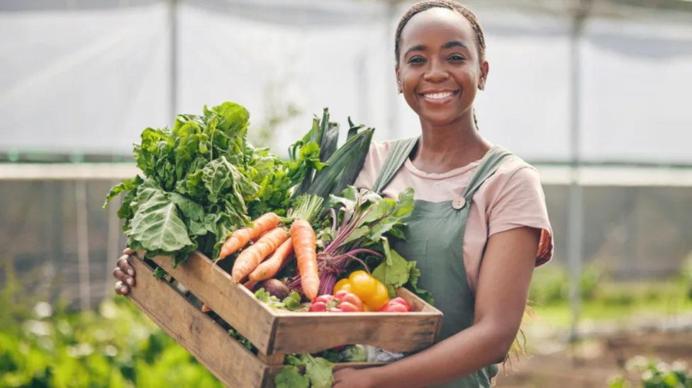 Why More People Are Choosing Vegetable Delivery Subscriptions Over Grocery Store Runs