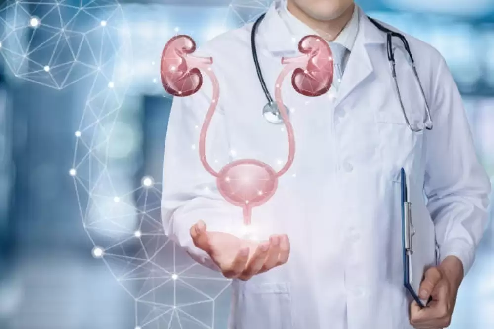 Top Urologist in Dubai: How to Find the Right Specialist for Your Urological Health