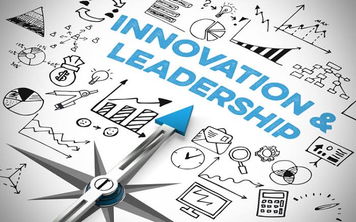 Innovative Leadership Pathways in Healthcare: Preparing for the Future