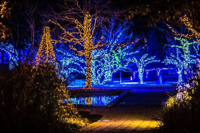 Why Professional Christmas Light Installation Is Worth It in Franklin, TN
