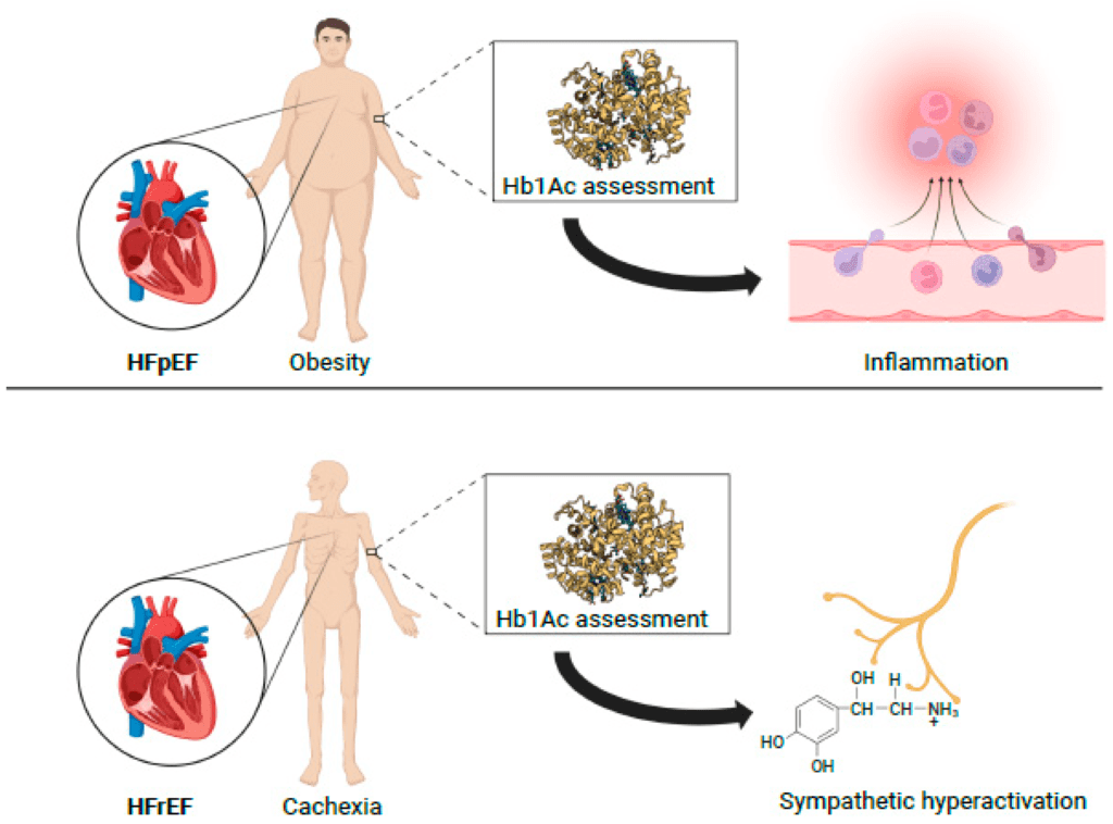 How Medical Weight Loss Turns Health Data into Daily Progress