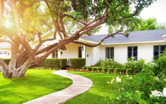 What Should You Landscape First: The Front Yard or Backyard?